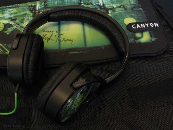 Canyon cnl-hp02a купить по акционной цене , отзывы и обзоры.